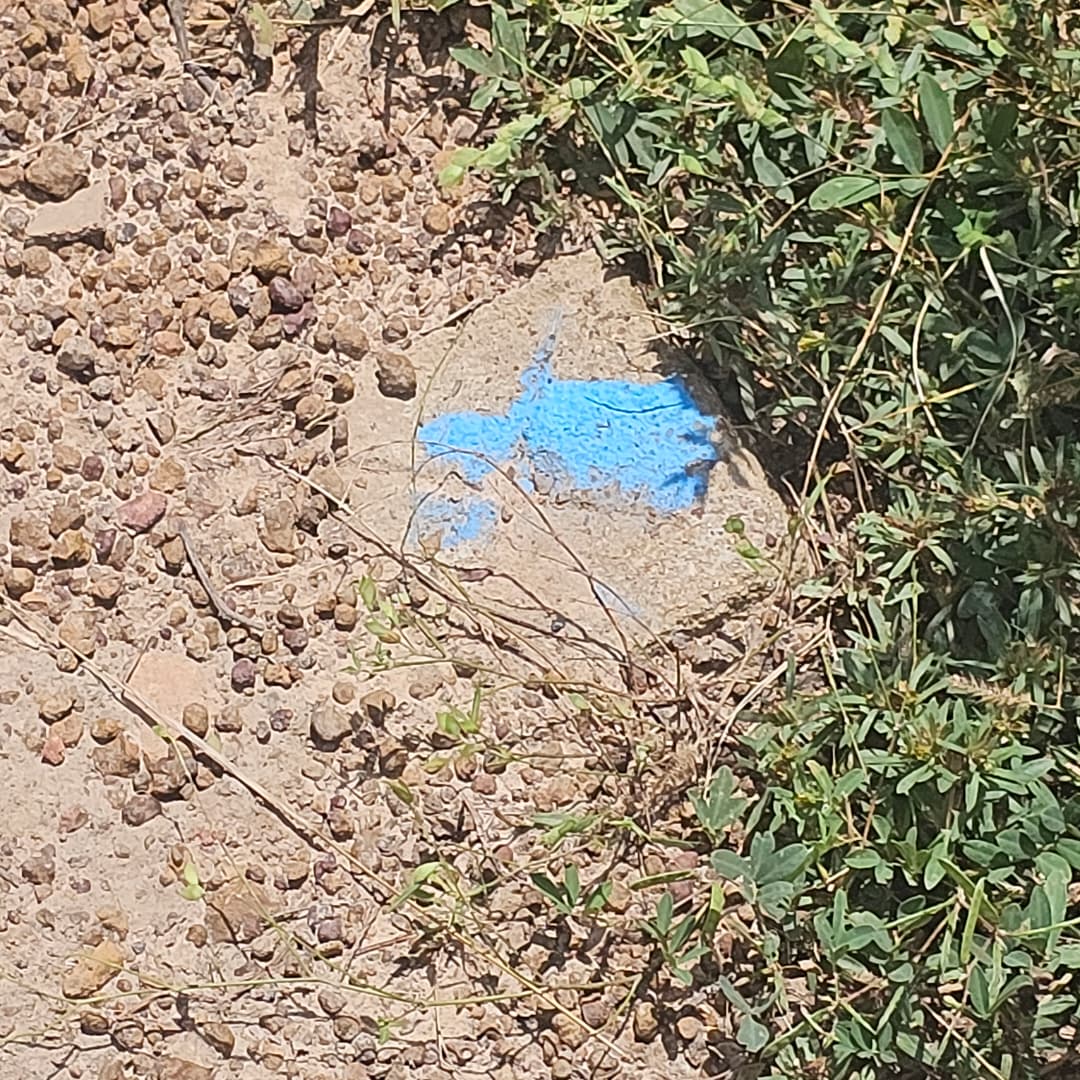 Parcelle à vendre – Saaba (lotissement mairie)